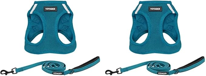Voyager Step-in Air All Weather Mesh Harness and Reflective Dog 5 ft Leash Combo with Neoprene Handle, for Small, Medium and Large Breed Puppies by Best Pet Supplies - Leash Harness (Turquoise), XS