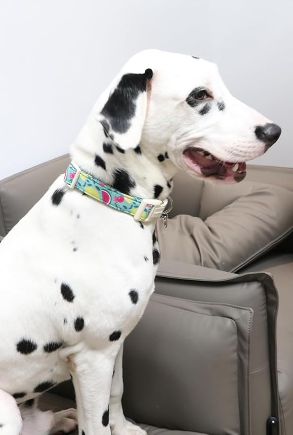 DOGWONG Cotton Dog Collar, Spring Summer Dog Collar Durable Soft Natural Fabric Pet Dog Collar Cute Wedding Puppy Necklace for Small Medium Large Dog