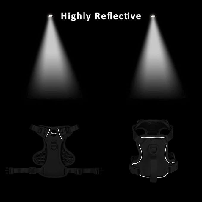 Petmolico Dog Harness for Small Dogs, Cute Harness Vest with Two Leash Clips and Soft Handle, Reflective Easy Walk Puppy Vest - Black Lotus, X-Small