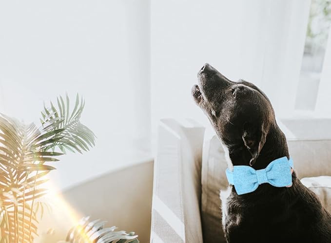 DOGWONG Hemp Cotton Dog Collar with Bow Blue Pet Collar Durable Adjustable Puppy Collar for Small Medium Large Dogs
