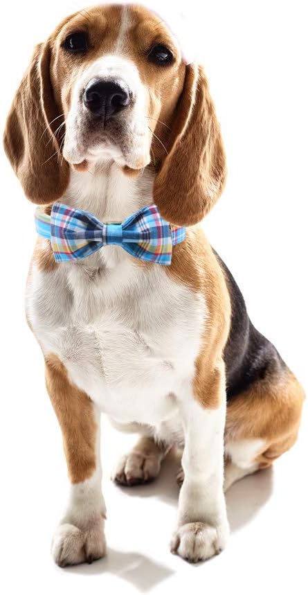 Unique style paws Plaid Dog Collar with Bow Pet Gift Adjustable Soft and Comfy Bowtie Collars for Small Medium Large Dogs
