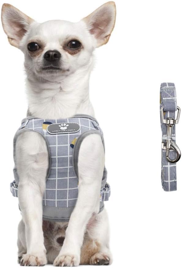 FEimaX Soft Mesh Dog Harness and Leash Set for Walking, No Pull Adjustable Reflective Puppy Step-in Vest Harness for Puppy Small Medium Dogs & Cats (L (Chest 16.1-18.1''/41-46CM), Plaid Grey)