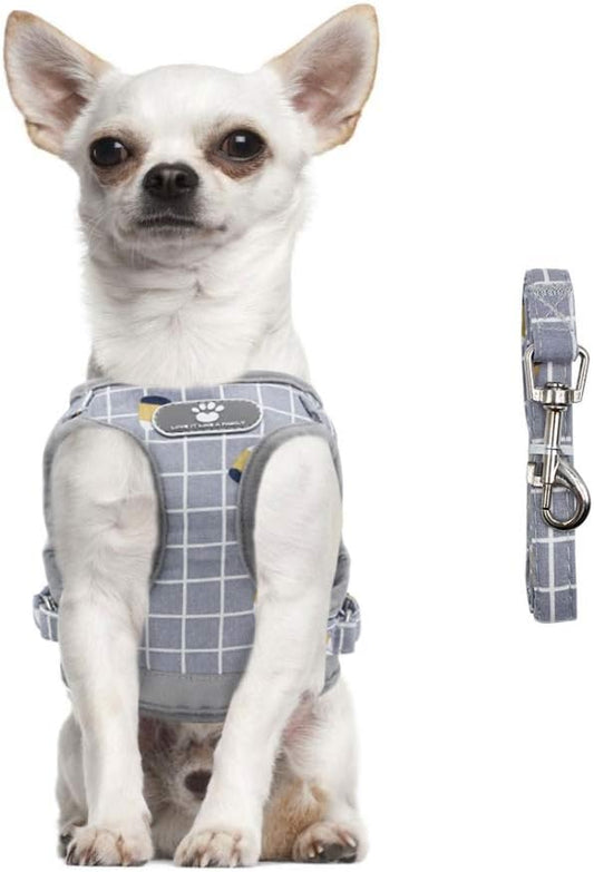 FEimaX Dog Harness and Leash Set, No-Pull Breathable Soft Mesh Puppy Vest Harness Reflective Adjustable Pet Harnesses for Small Medium Dogs and Cats - Outdoor Easy Control for Walking