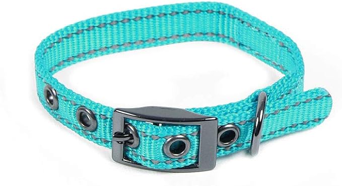 Max and Neo MAX Reflective Metal Buckle Dog Collar - We Donate a Collar to a Dog Rescue for Every Collar Sold (X-Small, Teal)