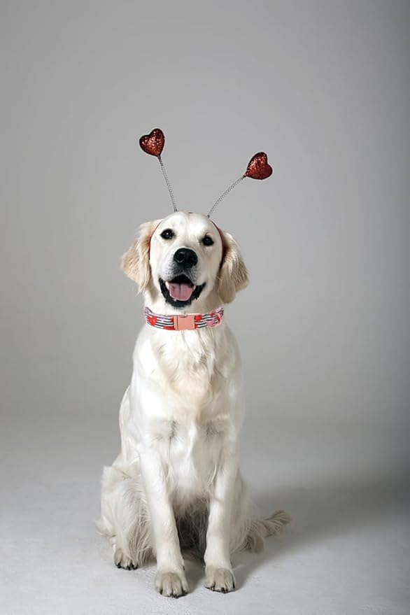 Lionet Paws Valentine Dog Collar, Heavy-Duty Cute Red Heart Pattern Fabric Pet Collar with Metal Buckle for Small Medium, Neck 13.5-22 inches