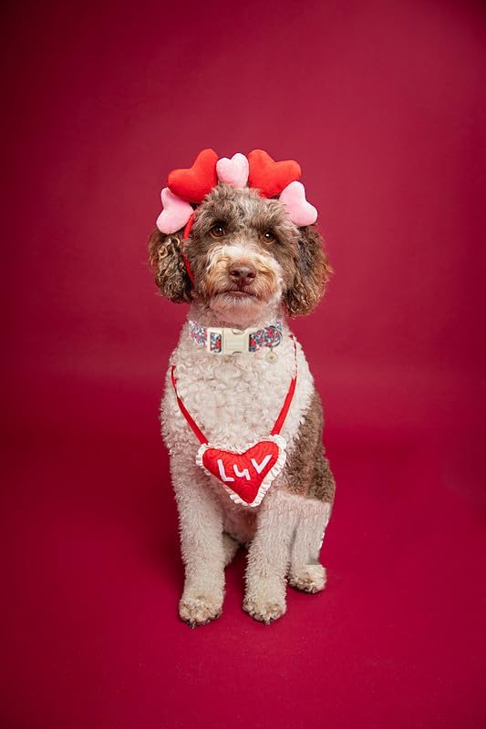 Lionet Paws Floral Dog Collar- Cute Red Pink Flower Dog Collars with Plastic Buckle, Light Adjustable Dog Collars for Medium Dogs