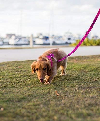 EcoBark Dog Leash - Soft & Reflective Comfort Training Leashes with Padded Handle - Strong Durable Heavy Duty - Training and Pulling for Small, Medium or Large Dogs (Pink)