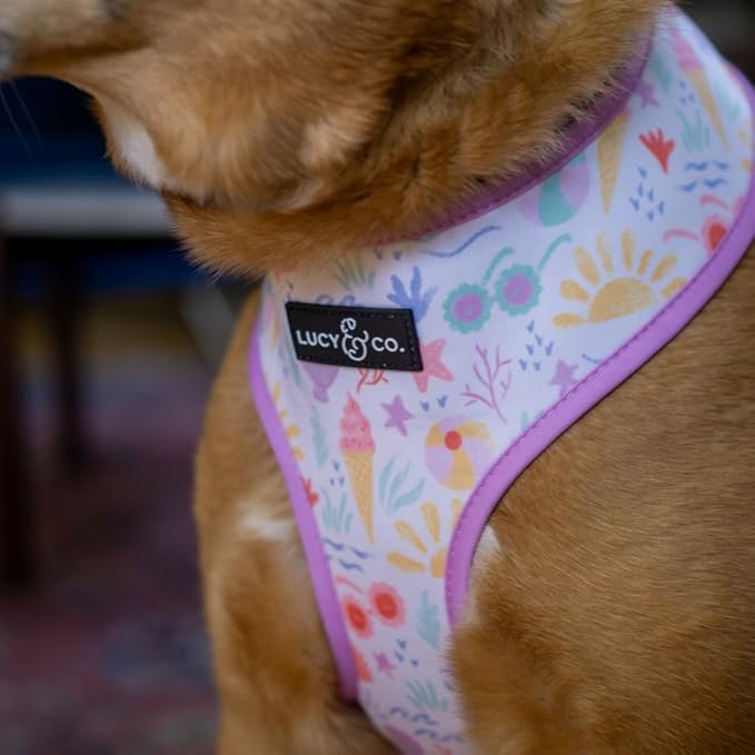 Lucy & Co. Cute Reversible Dog Harness Walking Halter - Best Designer Pet Harnesses for XS - XL Dogs - Padded Adjustable Vest for Easy Walking - Large -Pastel Seashells