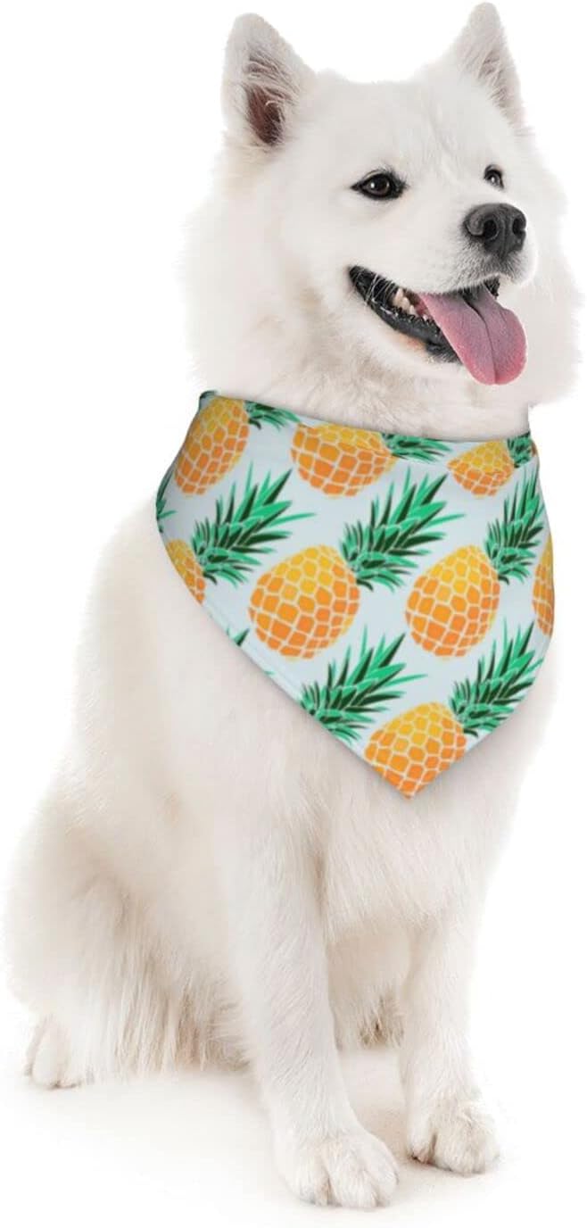 Tropical Pineapple Dog Bandana Scarf Triangle Bibs Pet Accessories Cat Kerchief
