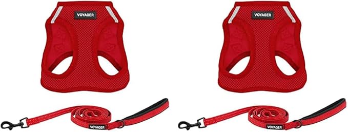 Voyager Step-in Air All Weather Mesh Harness and Reflective Dog 5 ft Leash Combo with Neoprene Handle, for Small, Medium and Large Breed Puppies by Best Pet Supplies - Leash Harness (Red), S