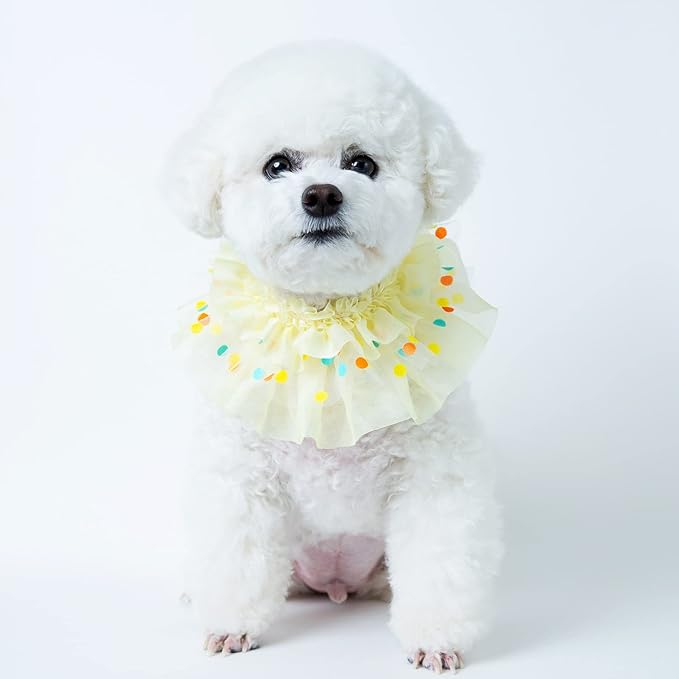 Jelly Bean Cape // pet Scarf, Pet Bib, Dog Bandanas, Round Neck Scarf/pet Accessories for Small, Medium, Large Dogs,Cat (XX-Large, Yellow)