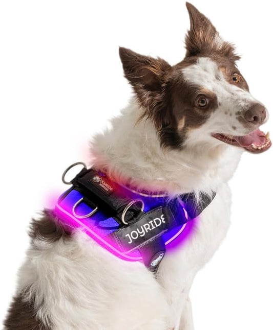 Joyride Harness LED Light Up Dog Harness 2.0 - Patent Pending Design, 3 LED Modes, Vibrant Rechargeable Lighting, Customizable Name Tag Area, and Convenient On/Off Button for Enhanced Pet Safety