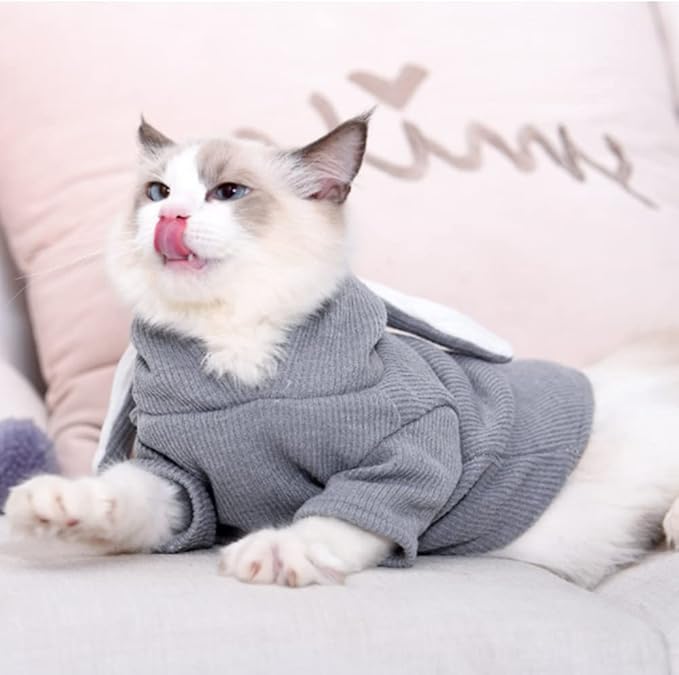 ANIAC Pet Hoodie Cat Rabbit Outfit with Bunny Ears Cute Sweatshirt Spring and Autumn Puppy Knitted Sweater Kitty Soft Knitwear (XXL-Large, Grey)