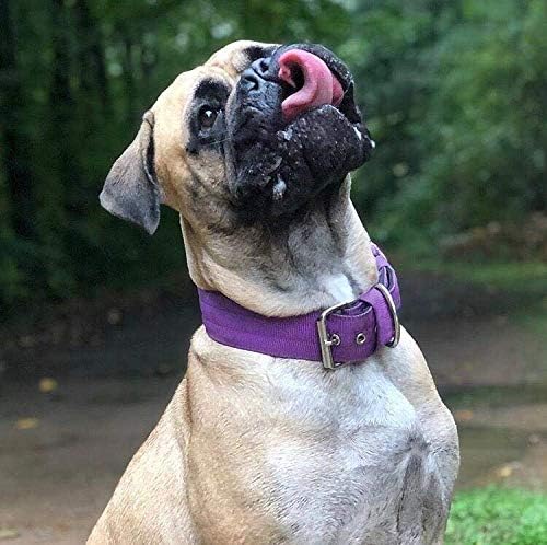 Heavy Duty Tactical Dog Collar - 1.5" Width Military Durable Thick Nylon with Adjustable Metal D Ring & Buckle Working Training K9 Collar for Medium Large Dogs (M(17"-20"), Purple)
