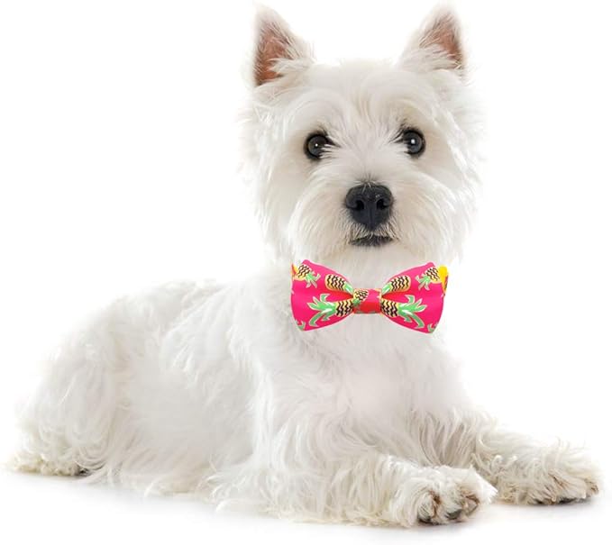 azuza Pineapple Bowtie Dog Collar, Soft & Comfy Dog Collar with Bow, Fun Patterns & Bright Color for Extra Small Dogs