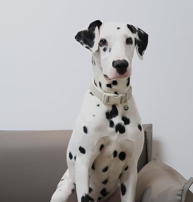 DOGWONG Cotton Hemp Dog Collar, Heavy-Duty Khaki Dog Collar Adjustable Soft Natural Fabric Pet Cute Wedding Puppy Necklace for Small Medium Large Dogs