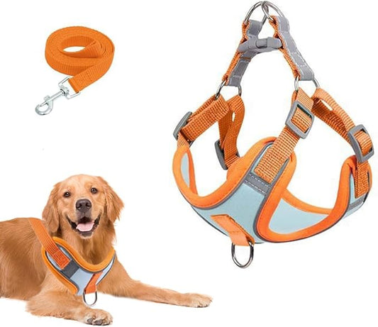 Cat Harness and Leash Escape Proof Adjustable Cat Leash Breathable Cat Vest Harness with Reflective Strips for Small Kitten Puppy Rabbit Orange and Blue (XL)