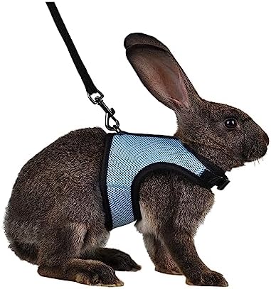 MANON ROSA Rabbit Harness and Leash Set - Adjustable Escape-Proof Training and Walking Gear for Guinea Pigs Bunnies Chinchillas Hamsters Ferrets Rats Kittens and Small Dogs Puppies Cats (Blue,S)