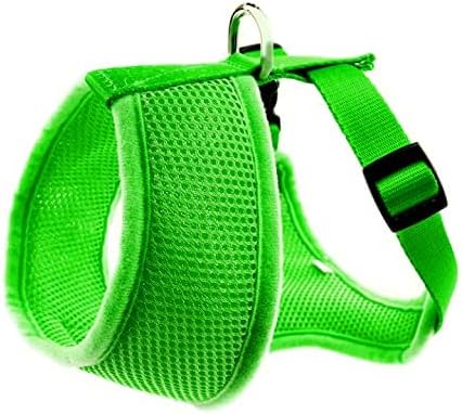 EcoBark Dog Harness - Eco-Friendly Max Comfort Harnesses - Luxurious Soft Mesh Halter - Over The Head Harness Vest- No Pull and No Choke for Small, Toy Breed, and Teacup Dogs (XS, Green)
