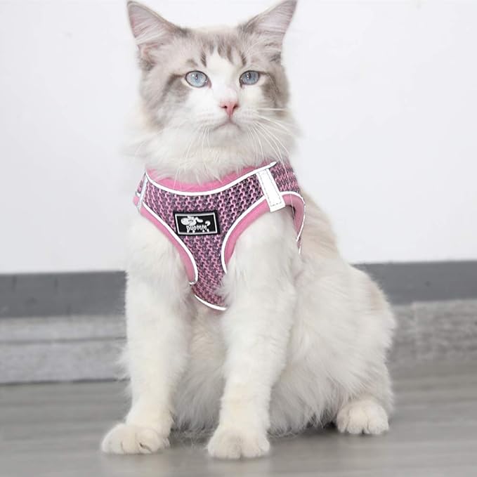 Dog and Cat Universal Harness with Leash - Cat Harness Escape Proof - Adjustable Reflective Step in Dog Harness for Small Dogs Medium Dogs - Soft Mesh Comfort Fit No Pull No Choke, Pink, L