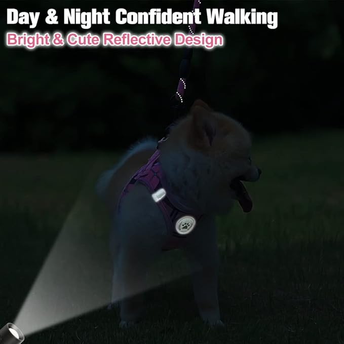 BEAUTYZOO Small Dog Harness and Leash Set,Step in No Choke No Pull Soft Mesh Dog Harnesses Reflective for Extra-Small/Small Medium Puppy Dogs and Cats, Plaid Dog Vest Harness for XS S Pets, Pink XXS