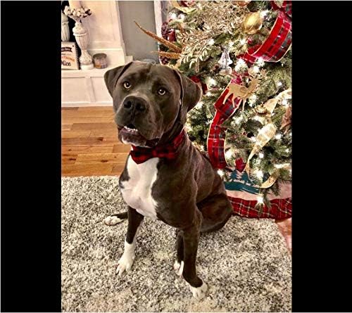 Unique Style Paws Pet Soft &Comfy Bowtie Dog Collar and Cat Collar Pet Gift for Dogs and Cats 6 Size and 7 Patterns