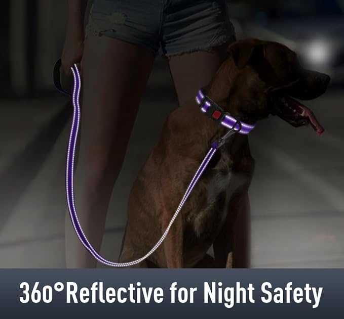 Airtag Dog Collar with AirTag Holder for Large Dogs, Reflective, Soft Padded & Safety Locking Buckle, Nylon Pet Collars Adjustable for All Breeds, Purple,L