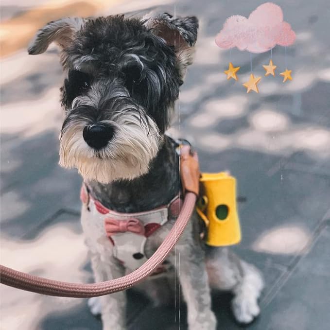 Puppytie No Pull Dog Harness with Multifunction Dog Leash,Soft Adjustable No Choke Escape Proof Pet Harness Vest for Medium Dogs,Polka dots Pink,M