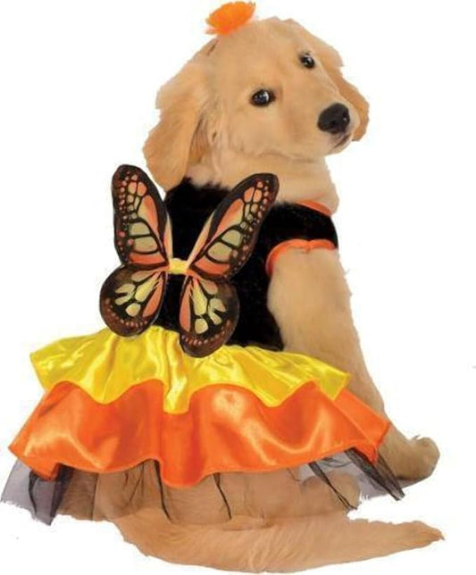 Rubie's Monarch Butterfly Pet Costume, Large
