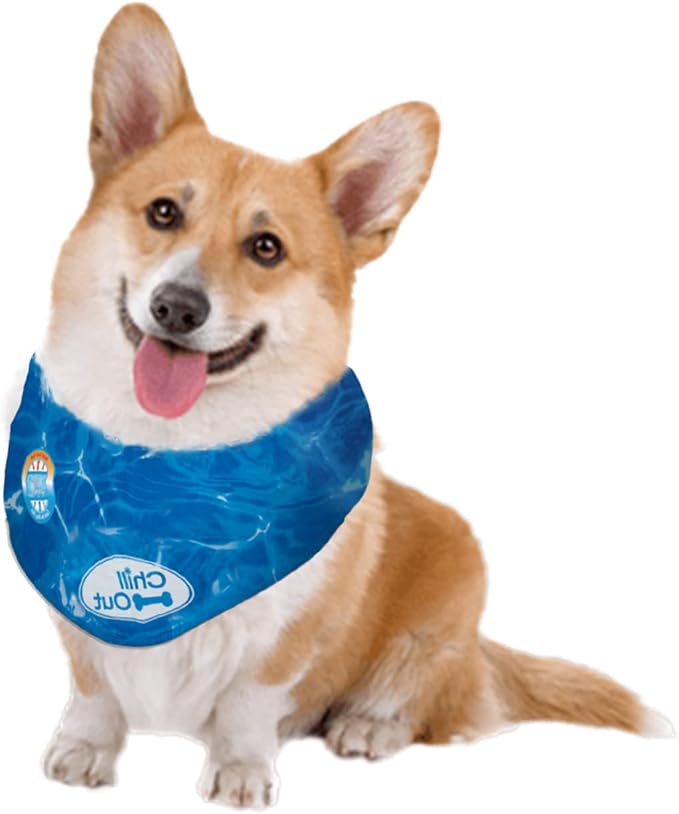 ALL FOR PAWS Chill Out Ice Bandana, Small