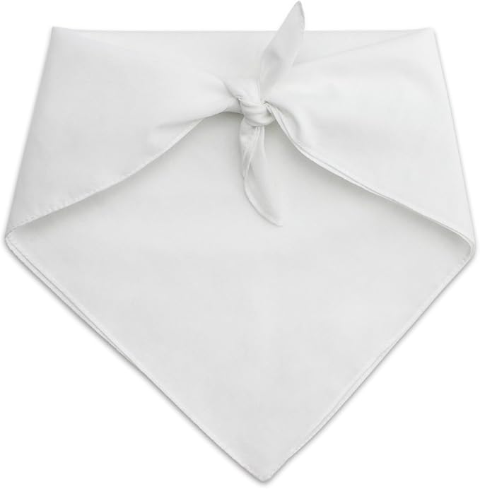 GRAPHICS & MORE The Lord of The Rings The Journey Dog Pet Bandana