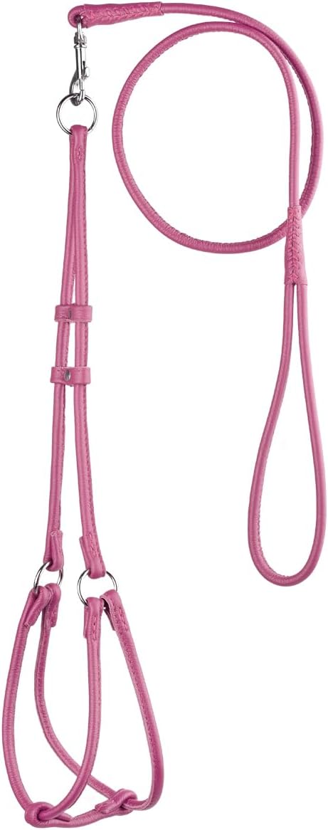 Dogline Soft and Padded Round Rolled Leather Step-in Harness with 15 to 20 Inch Chest and 3-Feet Leash, Pink