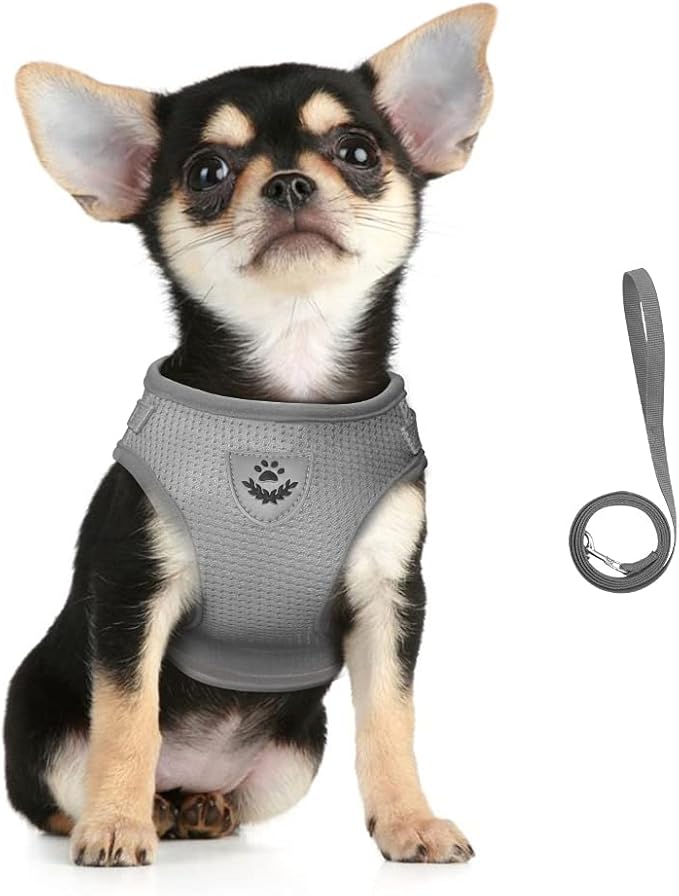 FEimaX Dog Harness and Leash Set for Walking, Soft Mesh Adjustable Easy Control Lightweight Cat Vest Harnesses with Reflective Strips, Escape Proof Small Dogs Cats Vests (Grey, Medium)