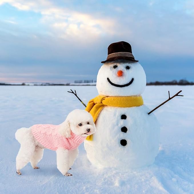 Mihachi Turtleneck Dog Sweater - Winter Coat Apparel Classic Cable Knit Clothes with Leash Hole for Cold Weather, Ideal Gift for Pet in New Year