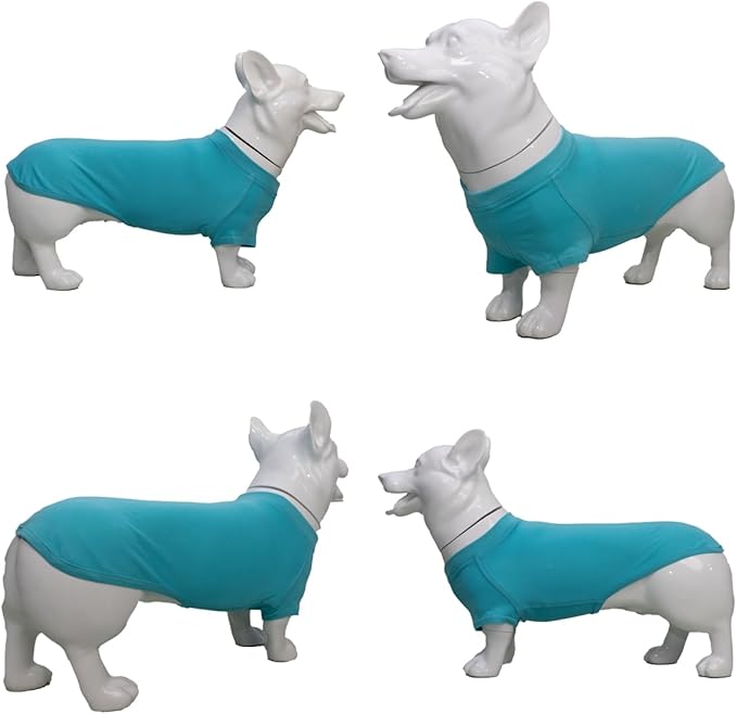Lovelonglong Pet Clothing Dog Costumes Dachshund Clothes Blank T-Shirt Tee Shirts for Dachshund Dogs,Corgi 100% Cotton Turquoise D-S