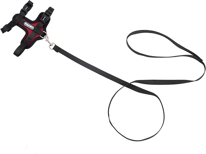 Cat Harness and Leash Set for Walking Lightweight Escape Proof Kitten Vest Harness Soft Fit for Cat Puppy Rabbits Easy Control (Red Black, M(Chest:12.5''-19'', Neck:8''-12''))