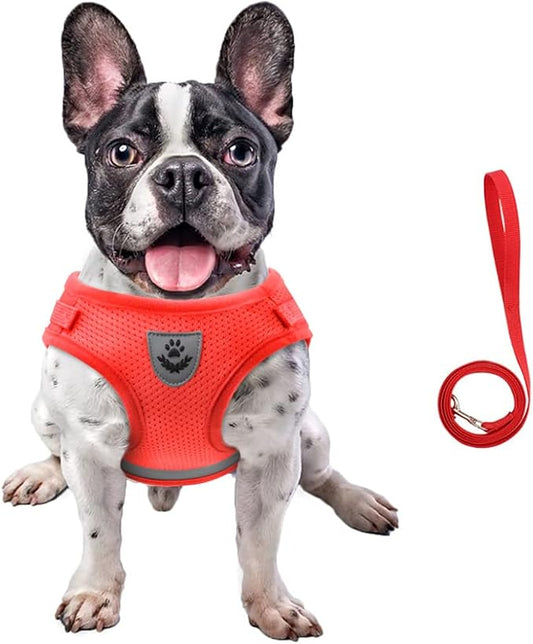 FEimaX Dog Harness and Leash Set for Walking, Soft Mesh Adjustable Easy Control Lightweight Cat Vest Harnesses with Reflective Strips, Escape Proof Small Dogs Cats Vests (Red, X-Large)