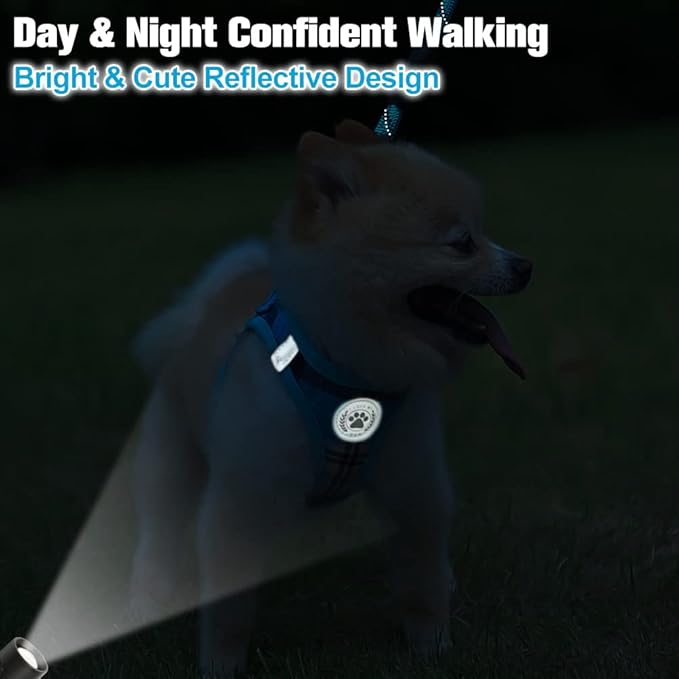 BEAUTYZOO Small Dog Harness and Leash Set,Step in No Choke No Pull Soft Mesh Dog Harnesses Reflective for Extra-Small Medium Puppy Dogs and Cats, Plaid Vest Harness for XS S Pets, Blue S