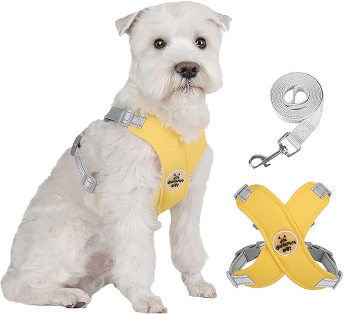 FEimaX Dog Harness Pet X Frame No Pull Step-in Harnesses with Leash Set, Adjustable Reflective Choke Free Puppy with Padded Vest for Small, Medium Dogs and Cats Walking Training