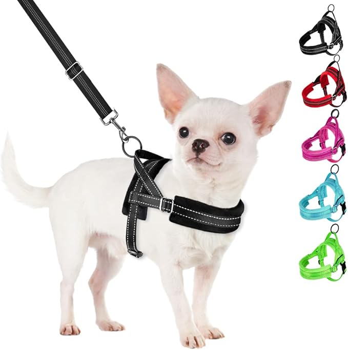SlowTon No Pull Small Dog Harness and Leash Set, Puppy Soft Vest Harness Neck & Chest Adjustable, Reflective Lightweight Harness & Anti-Twist Pet Lead Combo for Small Medium Dogs (Black, S)