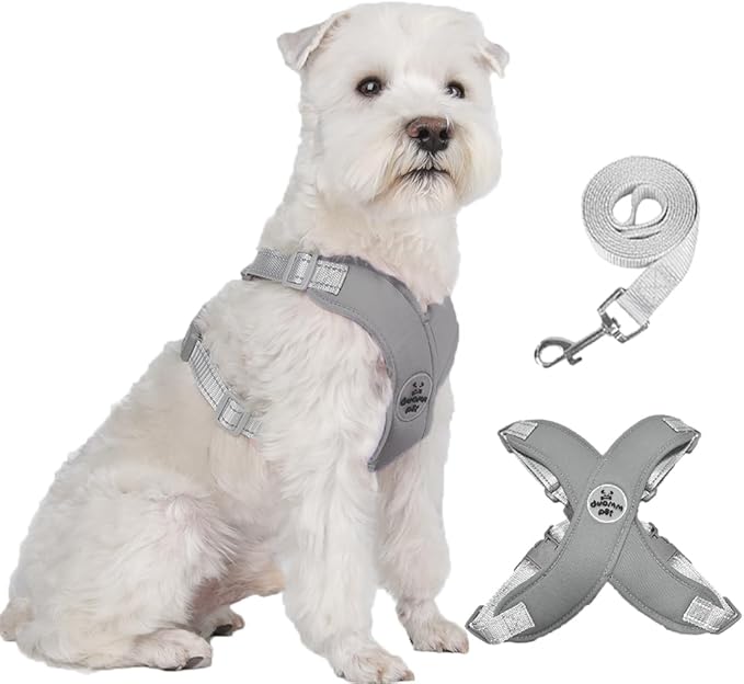 FEimaX Dog Harness Pet X Frame No Pull Step-in Harnesses with Leash Set, Adjustable Reflective Choke Free Puppy with Padded Vest for Small, Medium Dogs and Cats Walking Training