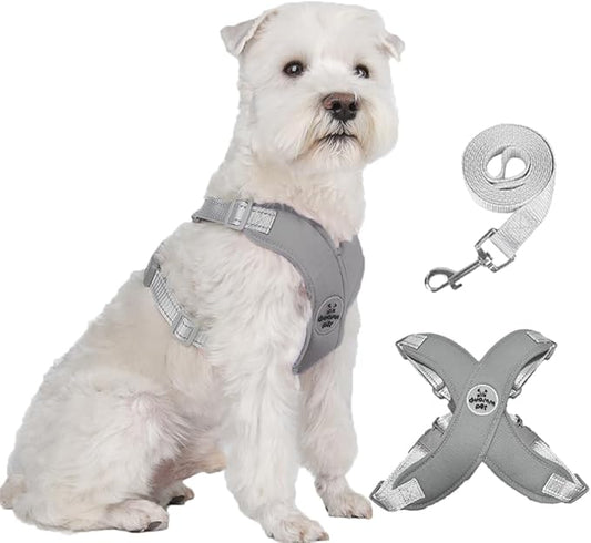 FEimaX Dog Harness Pet X Frame No Pull Step-in Harnesses with Leash Set, Adjustable Reflective Choke Free Puppy with Padded Vest for Small, Medium Dogs and Cats Walking Training