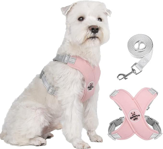 FEimaX Dog Harness Pet X Frame No Pull Step-in Harnesses with Leash Set, Adjustable Reflective Choke Free Puppy with Padded Vest for Small, Medium Dogs and Cats Walking Training
