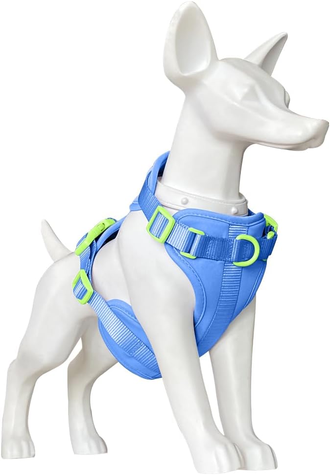 King Macks Dog Harness Set with Collar and Leash, Waste Bag Holder and Dirty Waste Bag Clip, Adjustable for Small/Medium/Large Dogs, Lightweight (Blue with Green, Large)