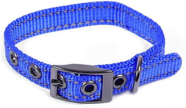 Max and Neo MAX Reflective Metal Buckle Dog Collar - We Donate a Collar to a Dog Rescue for Every Collar Sold (X-Small, Blue)