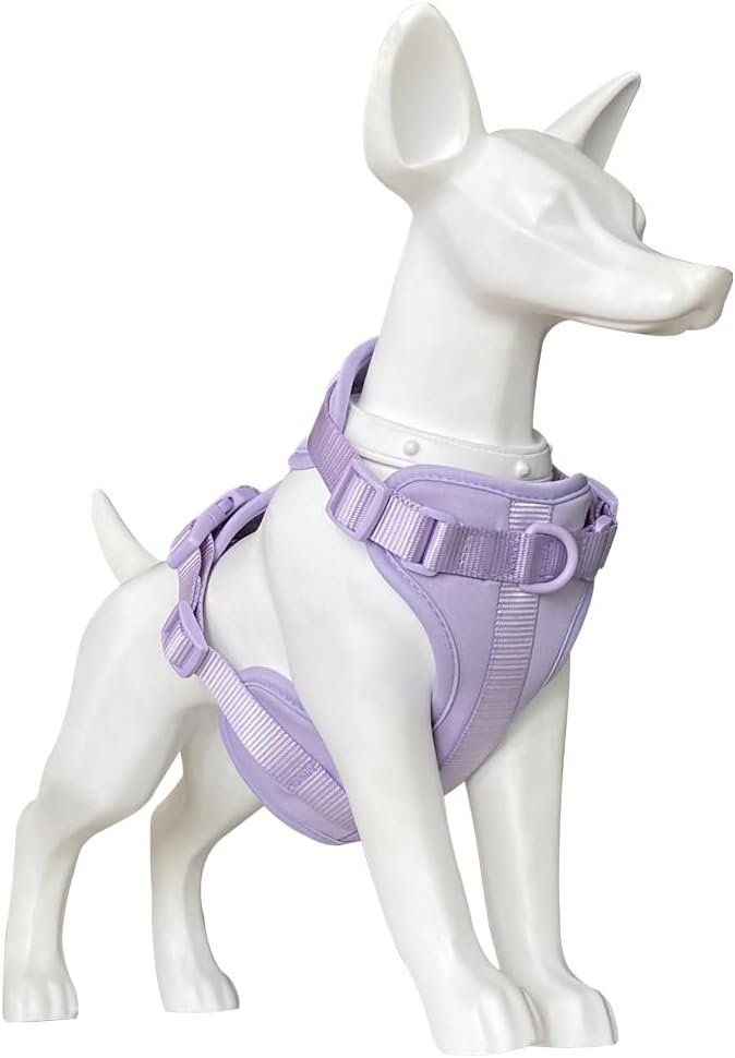 King Macks Dog Harness Set with Collar and Leash, Waste Bag Holder and Dirty Waste Bag Clip, Adjustable for Small/Medium/Large Dogs, Lightweight (Lavender, Small)