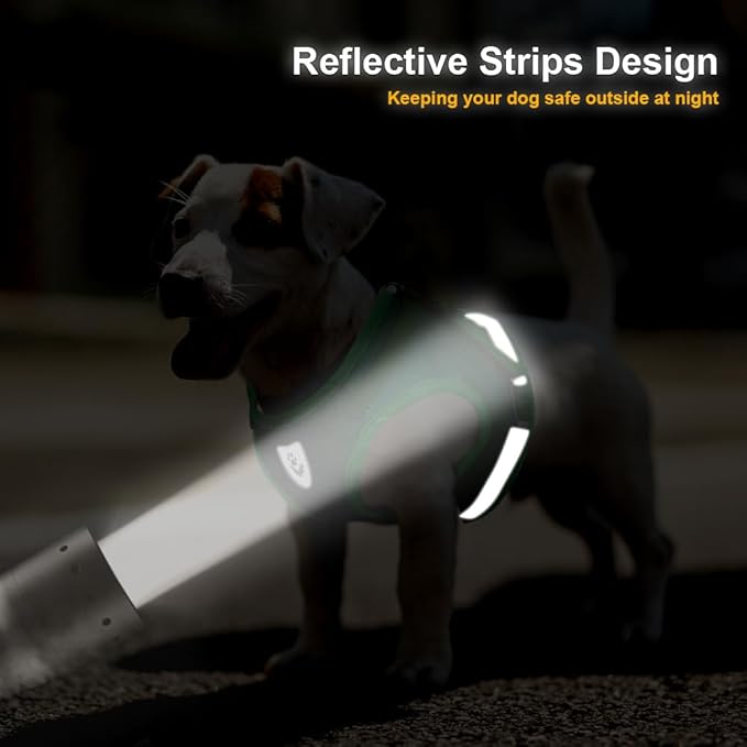 FEimaX Dog Harness and Leash Set for Walking, Soft Mesh Adjustable Easy Control Lightweight Cat Vest Harnesses with Reflective Strips, Escape Proof Small Dogs Cats Vests