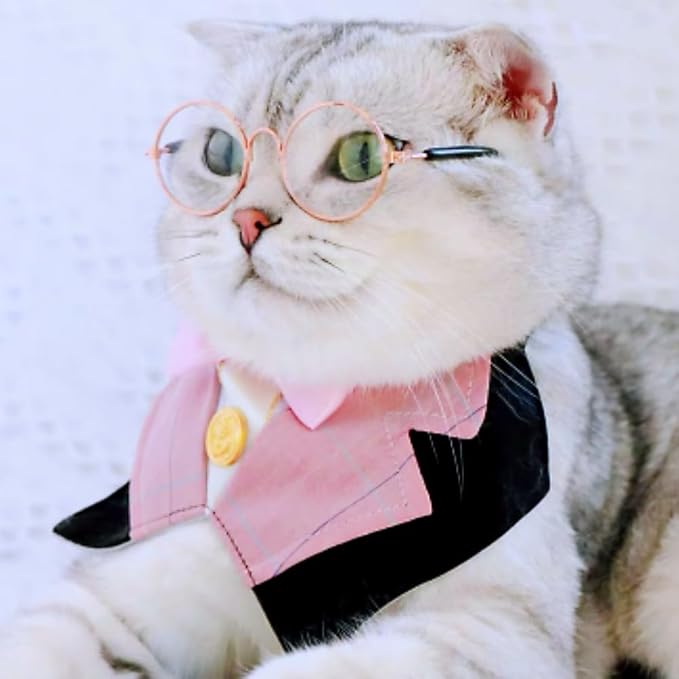 Dog & Cat Formal Wedding Bandana Collar with Bow Tie & Sunglasses (Pink)