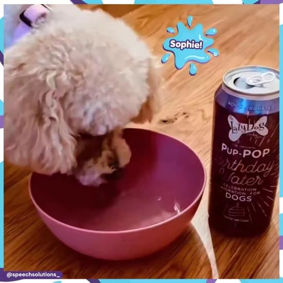 The Lazy Dog Cookie Co. Ultimate Birthday Celebration Kit for Dogs. Includes Special Day Pie, Bag of Birthday Cake Bites, Make at Home Ice Cream and Can of The Newly Released Pup-Pop