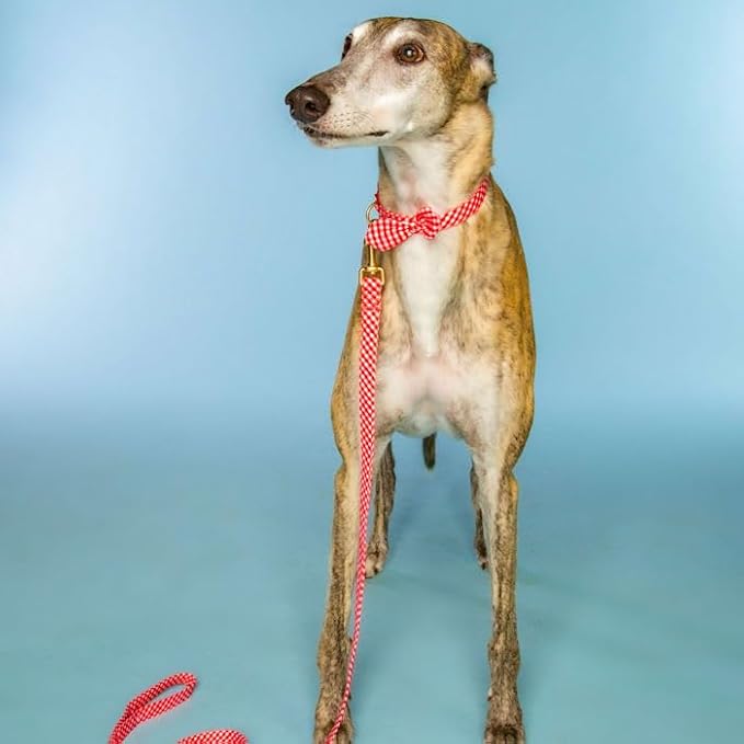 Dolly Doggy Parton Dog Harnesses and Leash/Collar Set Collection, Red Gingham Collar Leash Set, Medium